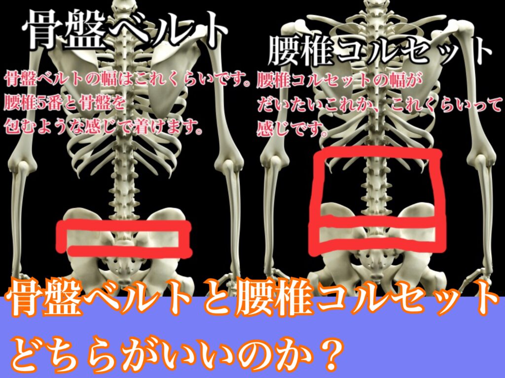 腰椎ベルトと骨盤ベルトの違い
