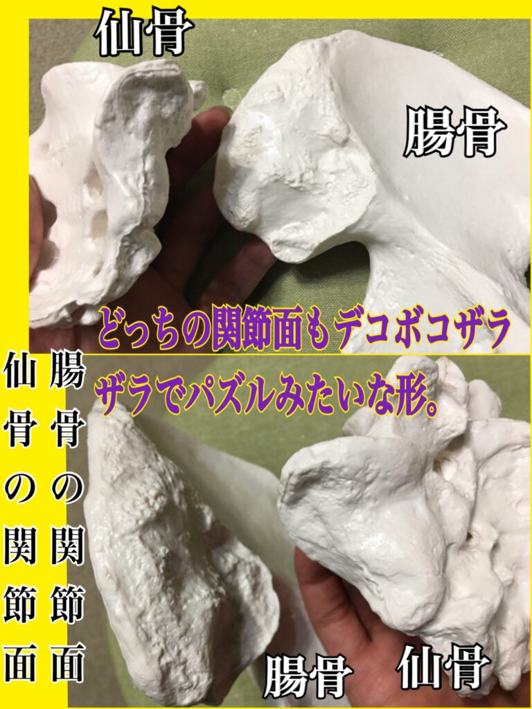 自力で骨盤矯正する方法