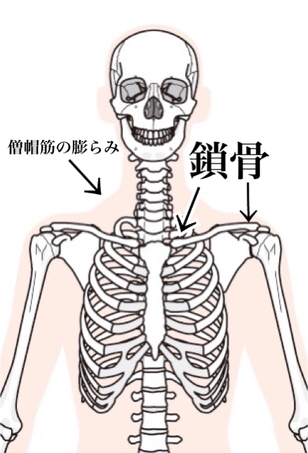 なで肩は治るの？