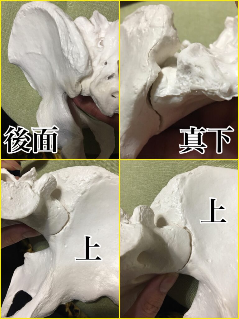 自分で骨盤を矯正する方法