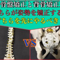 骨盤矯正と背骨矯正どちらの方が姿勢を矯正してくれますか？やるならどちらが先がいい？
