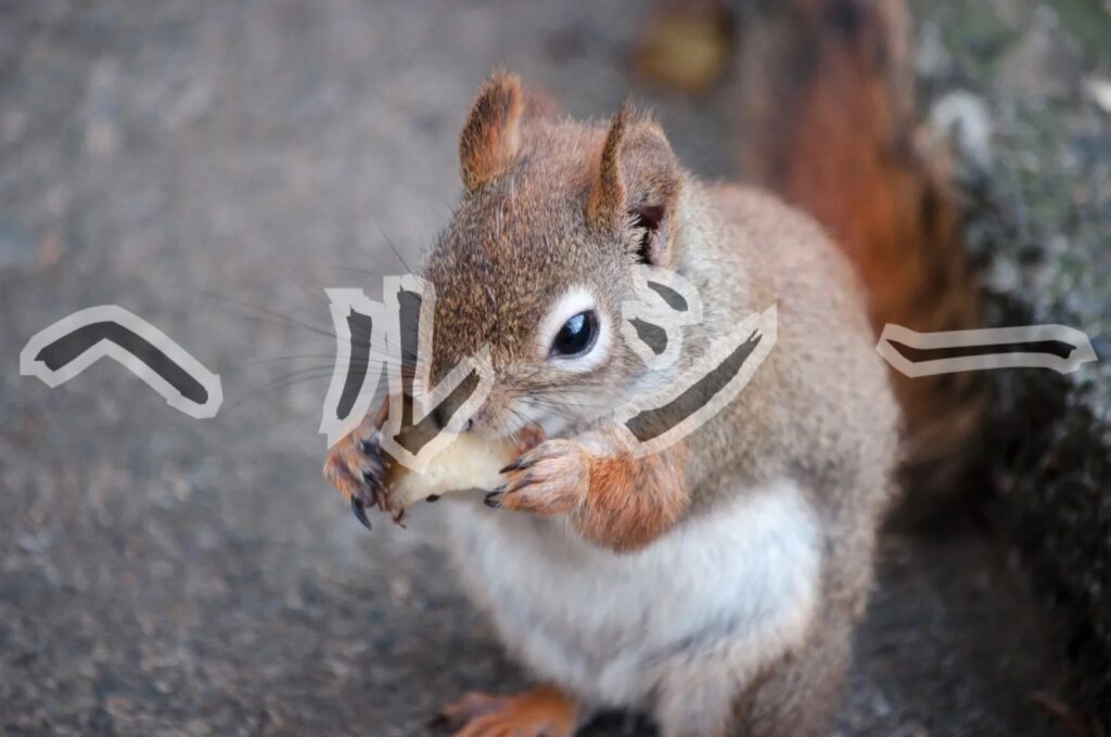 知識ゼロでもバランス良く栄養を摂取する方法